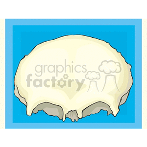 braincase clipart. Commercial use image # 165678