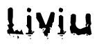 The image contains the word Liviu in a stylized font with a static looking effect at the bottom of the words