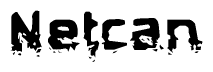 This nametag says Netcan, and has a static looking effect at the bottom of the words. The words are in a stylized font.