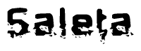 The image contains the word Saleta in a stylized font with a static looking effect at the bottom of the words