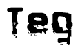 This nametag says Teg, and has a static looking effect at the bottom of the words. The words are in a stylized font.