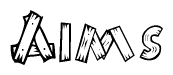 The image contains the name Aims written in a decorative, stylized font with a hand-drawn appearance. The lines are made up of what appears to be planks of wood, which are nailed together