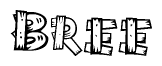 The image contains the name Bree written in a decorative, stylized font with a hand-drawn appearance. The lines are made up of what appears to be planks of wood, which are nailed together