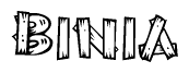 The image contains the name Binia written in a decorative, stylized font with a hand-drawn appearance. The lines are made up of what appears to be planks of wood, which are nailed together