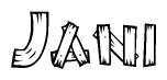 The image contains the name Jani written in a decorative, stylized font with a hand-drawn appearance. The lines are made up of what appears to be planks of wood, which are nailed together