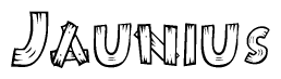 The image contains the name Jaunius written in a decorative, stylized font with a hand-drawn appearance. The lines are made up of what appears to be planks of wood, which are nailed together