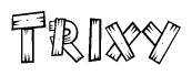 The image contains the name Trixy written in a decorative, stylized font with a hand-drawn appearance. The lines are made up of what appears to be planks of wood, which are nailed together