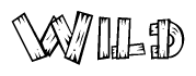 The image contains the name Wild written in a decorative, stylized font with a hand-drawn appearance. The lines are made up of what appears to be planks of wood, which are nailed together