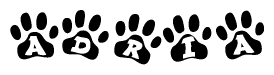 The image shows a series of animal paw prints arranged horizontally. Within each paw print, there's a letter; together they spell Adria