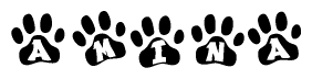 The image shows a row of animal paw prints, each containing a letter. The letters spell out the word Amina within the paw prints.