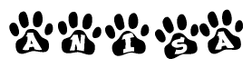 The image shows a series of animal paw prints arranged in a horizontal line. Each paw print contains a letter, and together they spell out the word Anisa.