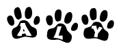 The image shows a row of animal paw prints, each containing a letter. The letters spell out the word Aly within the paw prints.