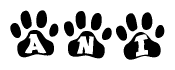 The image shows a series of animal paw prints arranged horizontally. Within each paw print, there's a letter; together they spell Ani