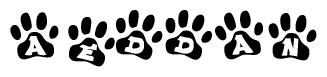 The image shows a series of animal paw prints arranged in a horizontal line. Each paw print contains a letter, and together they spell out the word Aeddan.