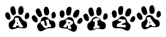 The image shows a series of animal paw prints arranged in a horizontal line. Each paw print contains a letter, and together they spell out the word Auriza.