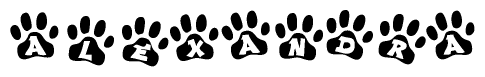 The image shows a series of animal paw prints arranged horizontally. Within each paw print, there's a letter; together they spell Alexandra