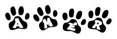 The image shows a series of animal paw prints arranged horizontally. Within each paw print, there's a letter; together they spell Amer