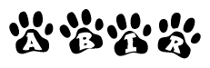 The image shows a series of animal paw prints arranged horizontally. Within each paw print, there's a letter; together they spell Abir