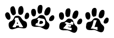 The image shows a row of animal paw prints, each containing a letter. The letters spell out the word Adel within the paw prints.