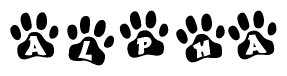 The image shows a row of animal paw prints, each containing a letter. The letters spell out the word Alpha within the paw prints.