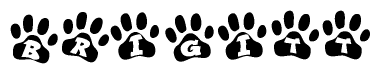 The image shows a row of animal paw prints, each containing a letter. The letters spell out the word Brigitt within the paw prints.