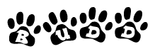 The image shows a row of animal paw prints, each containing a letter. The letters spell out the word Budd within the paw prints.