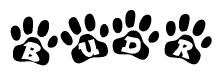 The image shows a series of animal paw prints arranged in a horizontal line. Each paw print contains a letter, and together they spell out the word Budr.