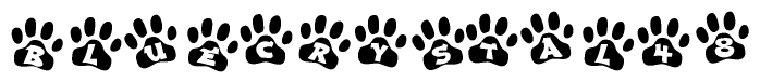 The image shows a series of animal paw prints arranged horizontally. Within each paw print, there's a letter; together they spell Bluecrystal48