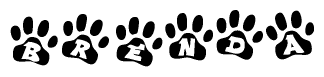 The image shows a series of animal paw prints arranged horizontally. Within each paw print, there's a letter; together they spell Brenda
