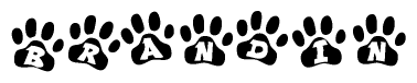 The image shows a series of animal paw prints arranged horizontally. Within each paw print, there's a letter; together they spell Brandin