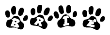 The image shows a row of animal paw prints, each containing a letter. The letters spell out the word Brie within the paw prints.