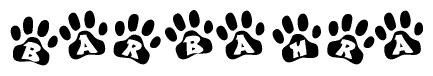 The image shows a series of animal paw prints arranged in a horizontal line. Each paw print contains a letter, and together they spell out the word Barbahra.