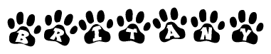 The image shows a series of animal paw prints arranged in a horizontal line. Each paw print contains a letter, and together they spell out the word Britany.