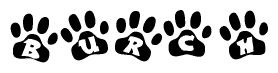 The image shows a row of animal paw prints, each containing a letter. The letters spell out the word Burch within the paw prints.