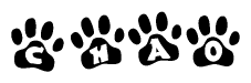 The image shows a row of animal paw prints, each containing a letter. The letters spell out the word Chao within the paw prints.