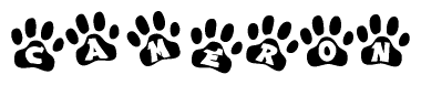 The image shows a series of animal paw prints arranged horizontally. Within each paw print, there's a letter; together they spell Cameron