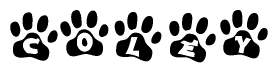 The image shows a series of animal paw prints arranged horizontally. Within each paw print, there's a letter; together they spell Coley
