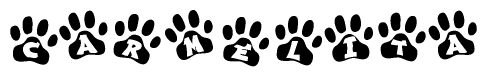 The image shows a series of animal paw prints arranged in a horizontal line. Each paw print contains a letter, and together they spell out the word Carmelita.