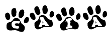 The image shows a series of animal paw prints arranged horizontally. Within each paw print, there's a letter; together they spell Caia