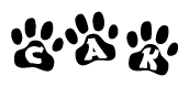 The image shows a series of animal paw prints arranged horizontally. Within each paw print, there's a letter; together they spell Cak
