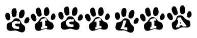 The image shows a series of animal paw prints arranged horizontally. Within each paw print, there's a letter; together they spell Cicilia