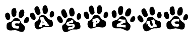 The image shows a series of animal paw prints arranged in a horizontal line. Each paw print contains a letter, and together they spell out the word Caspzuc.