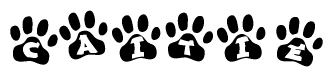 The image shows a series of animal paw prints arranged horizontally. Within each paw print, there's a letter; together they spell Caitie