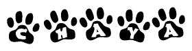 The image shows a series of animal paw prints arranged horizontally. Within each paw print, there's a letter; together they spell Chaya
