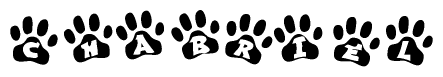 The image shows a series of animal paw prints arranged in a horizontal line. Each paw print contains a letter, and together they spell out the word Chabriel.