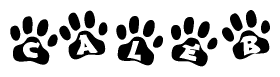 The image shows a series of animal paw prints arranged horizontally. Within each paw print, there's a letter; together they spell Caleb
