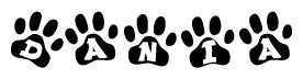 The image shows a series of animal paw prints arranged horizontally. Within each paw print, there's a letter; together they spell Dania