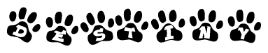 The image shows a series of animal paw prints arranged horizontally. Within each paw print, there's a letter; together they spell Destiny