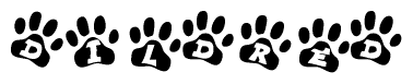 The image shows a row of animal paw prints, each containing a letter. The letters spell out the word Dildred within the paw prints.