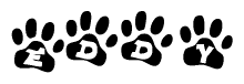 The image shows a row of animal paw prints, each containing a letter. The letters spell out the word Eddy within the paw prints.